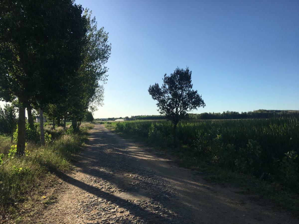 Casas Olmo Y Fresno Jardin Y Piscina A 17 Kilometros De Salamanca Esterno foto